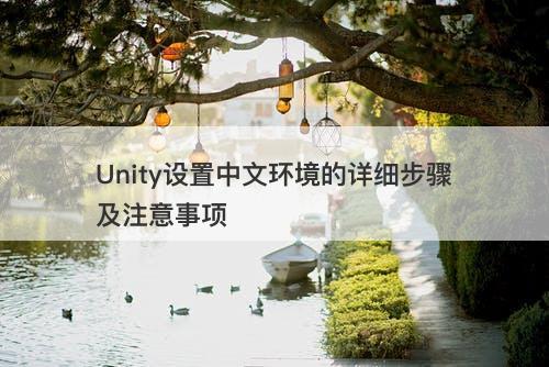 Unity设置中文环境的详细步骤及注意事项