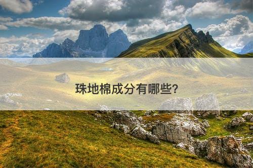 珠地棉成分有哪些？
