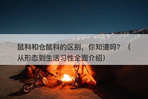 鼠科和仓鼠科的区别，你知道吗？（从形态到生活习性全面介绍）