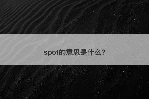 spot的意思是什么？