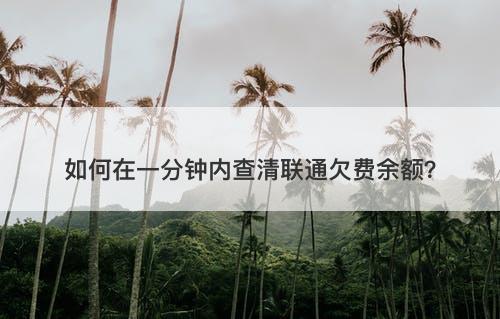 如何在一分钟内查清联通欠费余额？