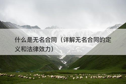 什么是无名合同（详解无名合同的定义和法律效力）