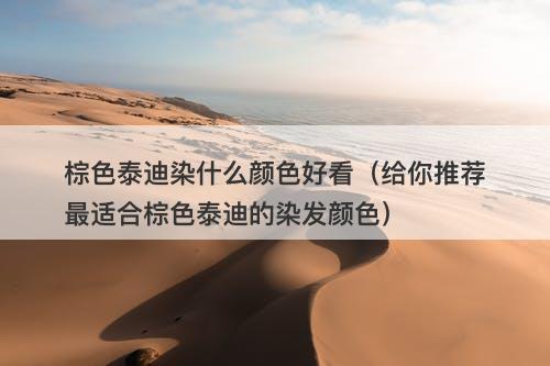 棕色泰迪染什么颜色好看（给你推荐最适合棕色泰迪的染发颜色）