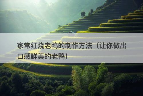 家常红烧老鸭的制作方法（让你做出口感鲜美的老鸭）