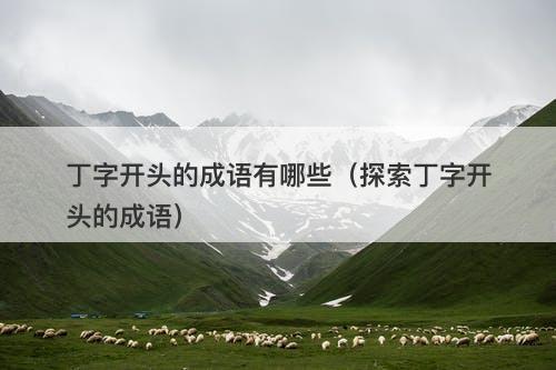 丁字开头的成语有哪些（探索丁字开头的成语）