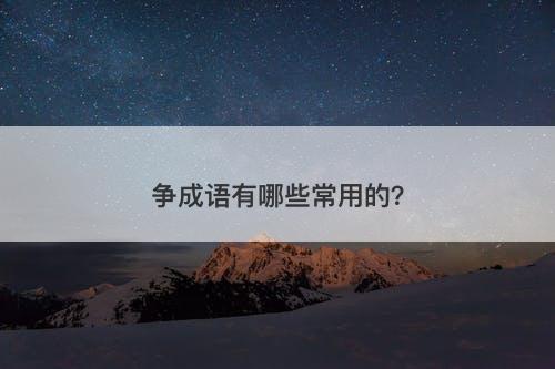 争成语有哪些常用的？