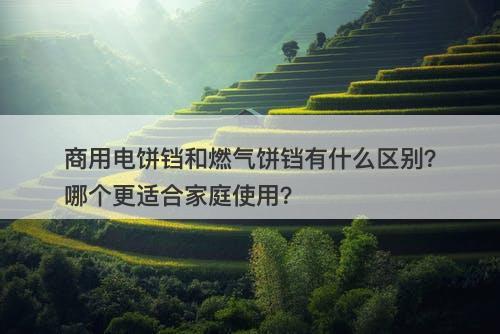 商用电饼铛和燃气饼铛有什么区别？哪个更适合家庭使用？