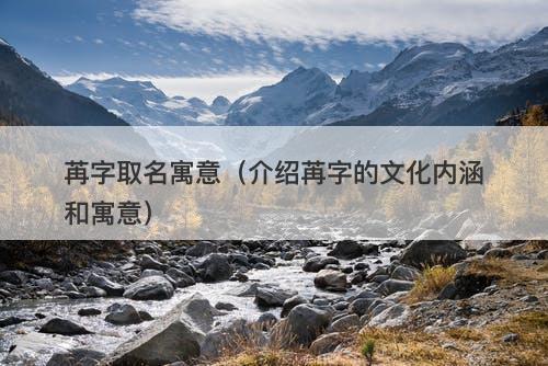 苒字取名寓意（介绍苒字的文化内涵和寓意）