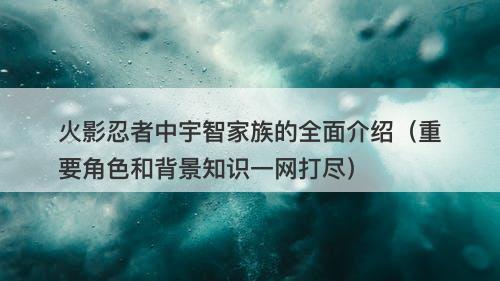 火影忍者中宇智家族的全面介绍（重要角色和背景知识一网打尽）