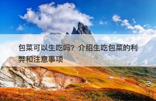包菜可以生吃吗？介绍生吃包菜的利弊和注意事项