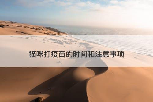 猫咪打疫苗的时间和注意事项-图1
