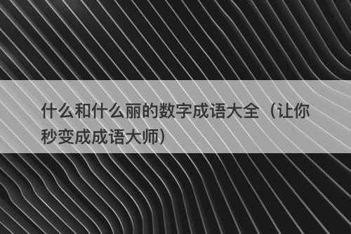 什么和什么丽的数字成语大全（让你秒变成成语大师）