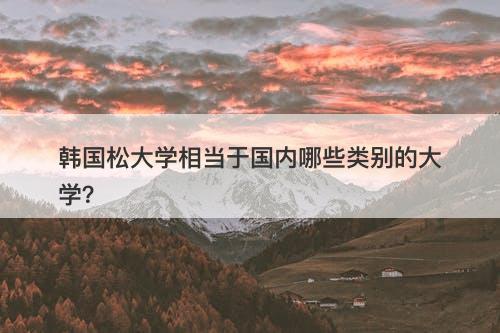 韩国松大学相当于国内哪些类别的大学？
