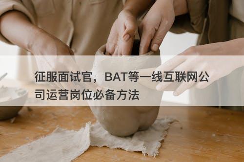 征服面试官，BAT等一线互联网公司运营岗位必备方法