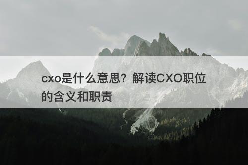 cxo是什么意思？解读CXO职位的含义和职责