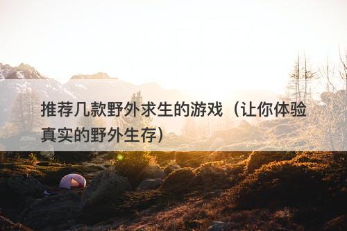 推荐几款野外求生的游戏（让你体验真实的野外生存）