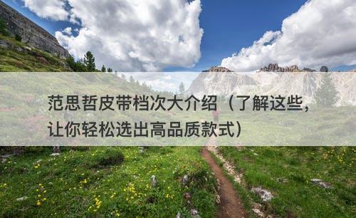 范思哲皮带档次大介绍（了解这些，让你轻松选出高品质款式）