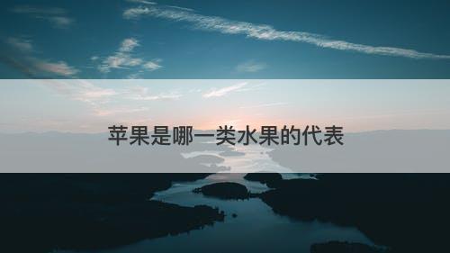 苹果是哪一类水果的代表