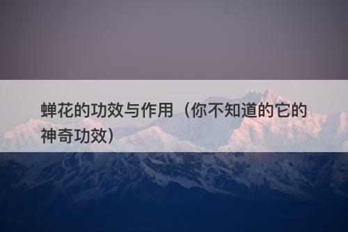 蝉花的功效与作用（你不知道的它的神奇功效）