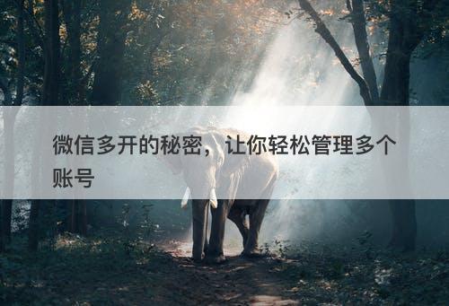 微信多开的秘密，让你轻松管理多个账号