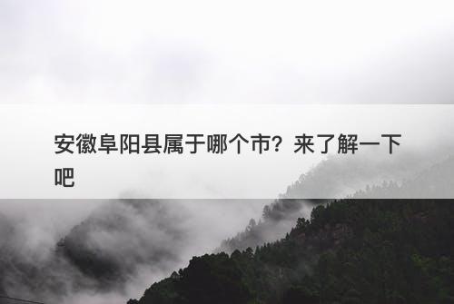 安徽阜阳县属于哪个市？来了解一下吧