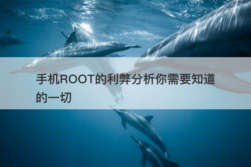手机ROOT的利弊分析你需要知道的一切