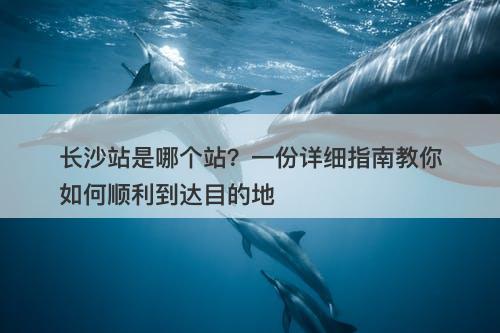 长沙站是哪个站？一份详细指南教你如何顺利到达目的地