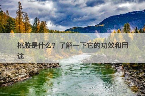 桃胶是什么？了解一下它的功效和用途