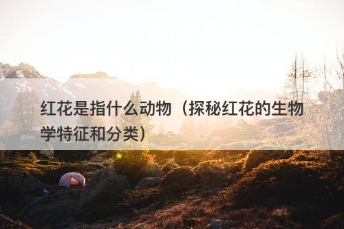 红花是指什么动物（探秘红花的生物学特征和分类）