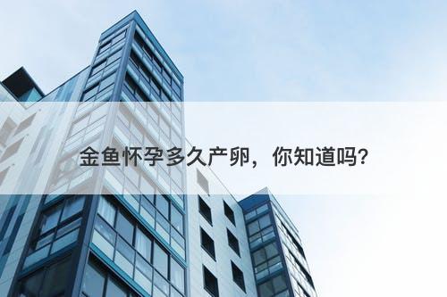 金鱼怀孕多久产卵，你知道吗？