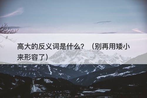 高大的反义词是什么？（别再用矮小来形容了）