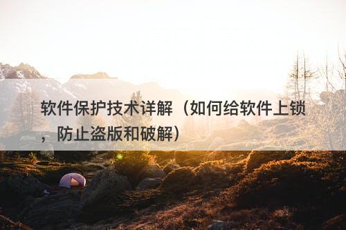 软件保护技术详解（如何给软件上锁，防止盗版和破解）