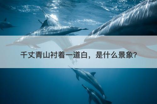 千丈青山衬着一道白，是什么景象？