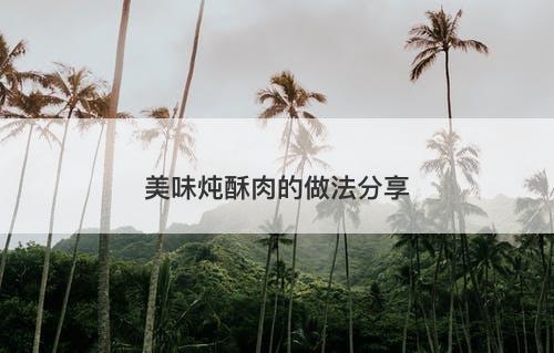 美味炖酥肉的做法分享