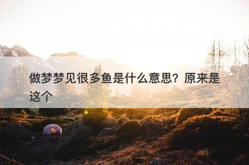 做梦梦见很多鱼是什么意思？原来是这个
