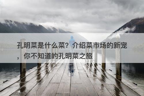 孔明菜是什么菜？介绍菜市场的新宠，你不知道的孔明菜之旅
