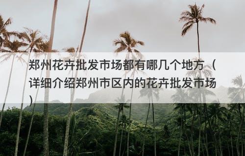 郑州花卉批发市场都有哪几个地方（详细介绍郑州市区内的花卉批发市场）