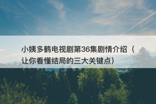 小姨多鹤电视剧第36集剧情介绍（让你看懂结局的三大关键点）