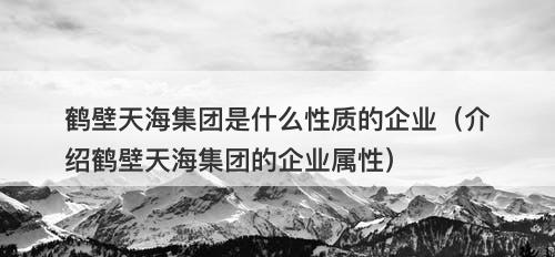 鹤壁天海集团是什么性质的企业（介绍鹤壁天海集团的企业属性）
