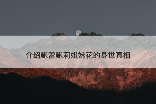 介绍鲍蕾鲍莉姐妹花的身世真相