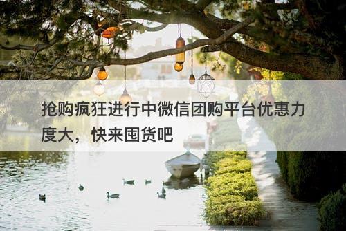 抢购疯狂进行中微信团购平台优惠力度大，快来囤货吧