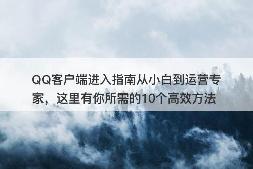 QQ客户端进入指南从小白到运营专家，这里有你所需的10个高效方法