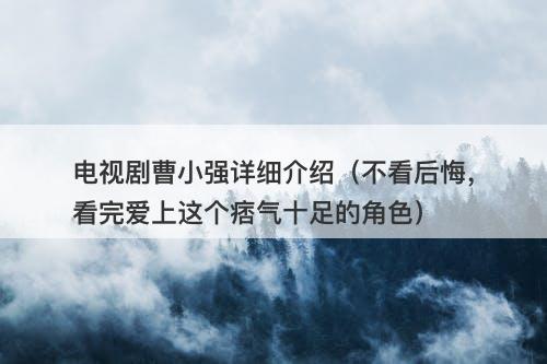 电视剧曹小强详细介绍（不看后悔，看完爱上这个痞气十足的角色）