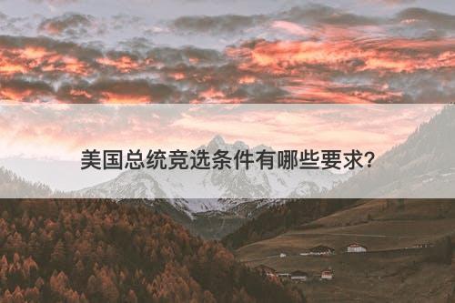 美国总统竞选条件有哪些要求？