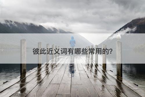 彼此近义词有哪些常用的？