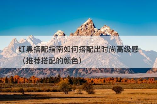 红黑搭配指南如何搭配出时尚高级感（推荐搭配的颜色）