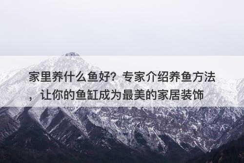 家里养什么鱼好？专家介绍养鱼方法，让你的鱼缸成为最美的家居装饰