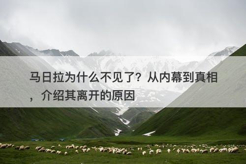 马日拉为什么不见了？从内幕到真相，介绍其离开的原因