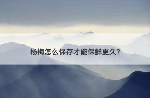 杨梅怎么保存才能保鲜更久？