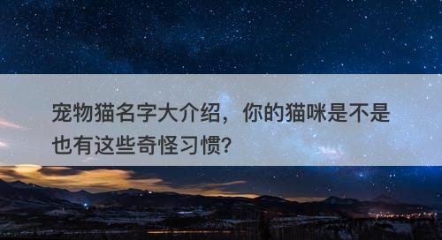 宠物猫名字大介绍，你的猫咪是不是也有这些奇怪习惯？